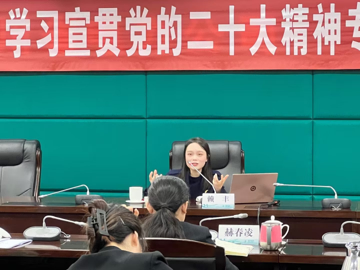 賴豐:國(guó)家電網(wǎng)-人才與績(jī)效培訓(xùn)